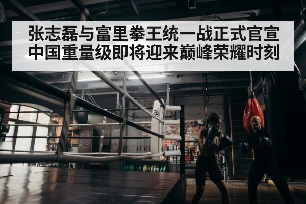 boxer training