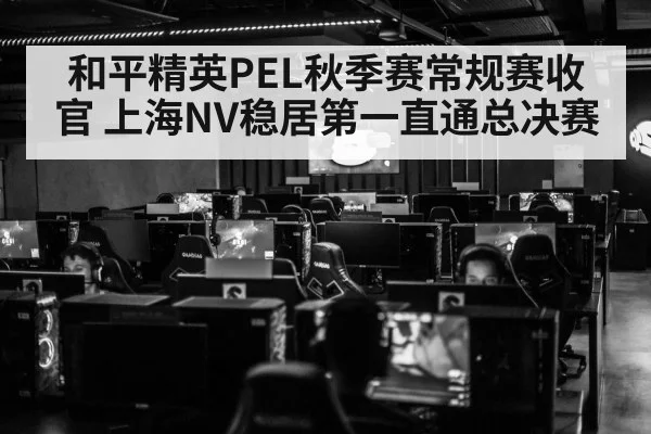 和平精英PEL秋季赛常规赛收官 上海NV稳居第一直通总决赛
