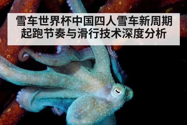 雪车世界杯中国四人雪车新周期起跑节奏与滑行技术深度分析
